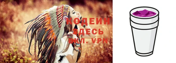 крисы Осинники