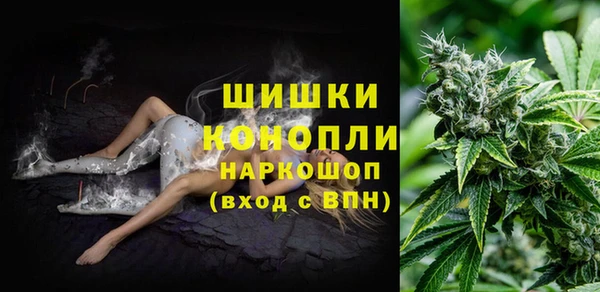 крисы Осинники