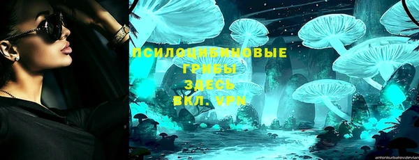 крисы Осинники
