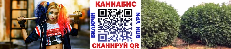 Бошки Шишки Amnesia  Фатеж 